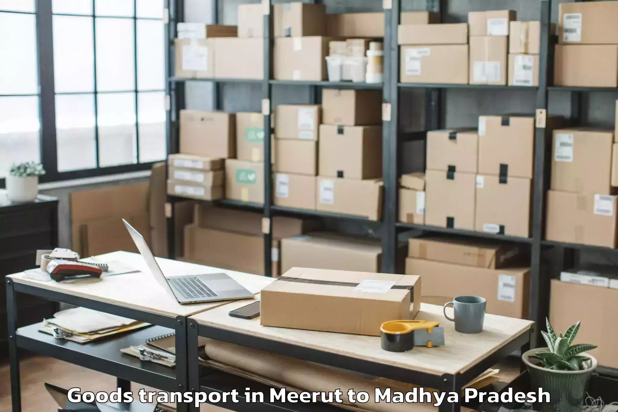 Top Meerut to Pachore Goods Transport Available